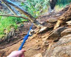 Lexi loves adventure, like rock climbing and hiking.